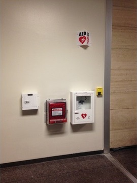A safety hub already installed at McCombs School of Business on the UT Campus. (Photo Courtesy UT Campus Safety and Security).